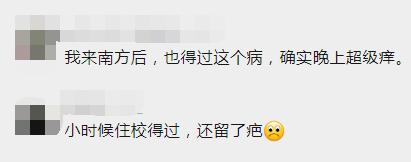 一家四口全中招！一到晚上痒到怀疑人生，竟是虫子在皮肤里打洞挖道……