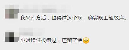 一家四口全中招！一到晚上痒到怀疑人生，“抓得满是血痕”，一查竟是……