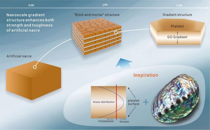 我科学家找到提升仿生珍珠母断裂韧性新机制