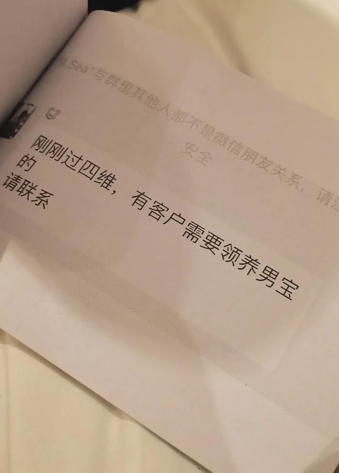中介群里的“领养信息”。受访者供图