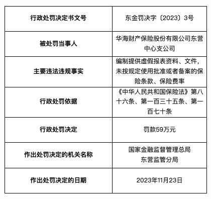 因编制提供虚假报表资料文件等，华海保险东营中心支公司被罚59万
