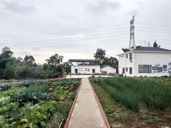 隆昌市光辉村：小切口撬动乡村振兴  建设宜居宜业和美乡村