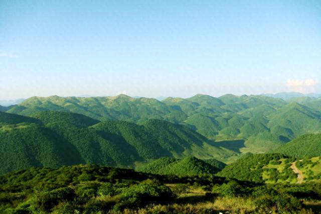 重庆巫溪县：改善生态环境提升林业管理水平，天保GEF项目启动