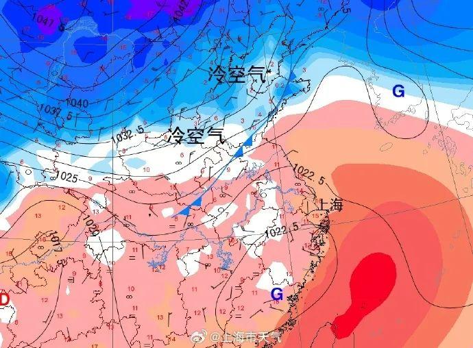 太刺激！上海桂花又开了！冷空气傍晚抵达，最低气温跌到个位数，郊区挑战冰点