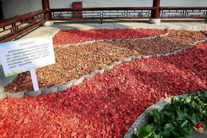 北京满大街的落叶“地毯”去哪儿了？其实它们有大用处