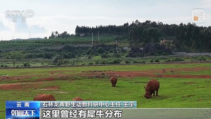 1000多万年前，非洲黑犀的原始祖先竟然生活在中国！