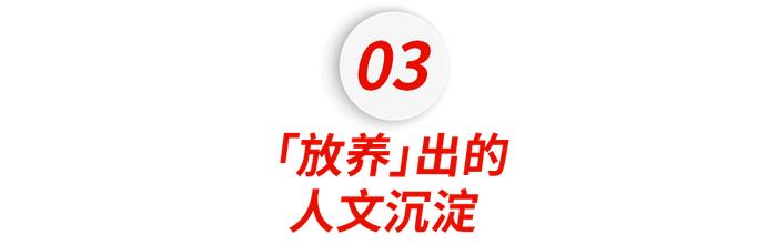 杭州哈佛女孩退学上头条！25岁人生开挂靠什么？