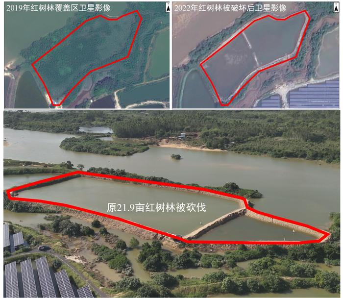 获批林地盖酒店、占用耕地造湖……5省被通报