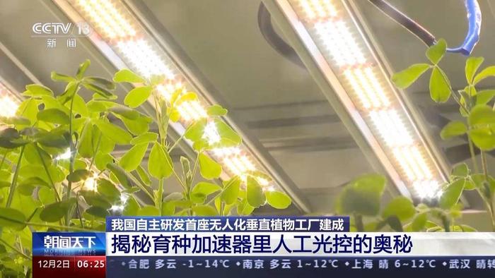 怎么在20层“高楼”里种菜？来首座无人化垂直植物工厂一探究竟