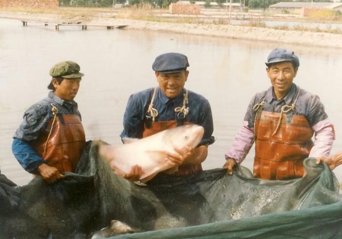 夜读丨送别！“鱼爷爷”金万昆走了