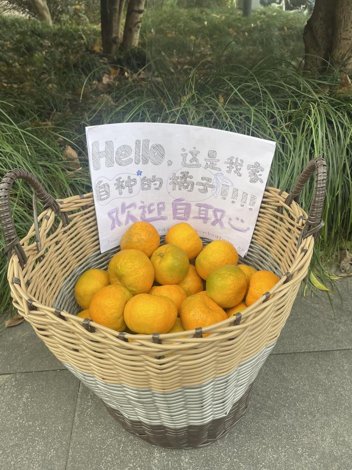 浙大女生用箩筐装家乡特产椪柑供同学自取，有同学接力共享蜜橘