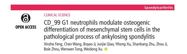 上海专家揭示强直性脊柱炎原发病变部位内部细胞图谱，该病主要影响年轻人