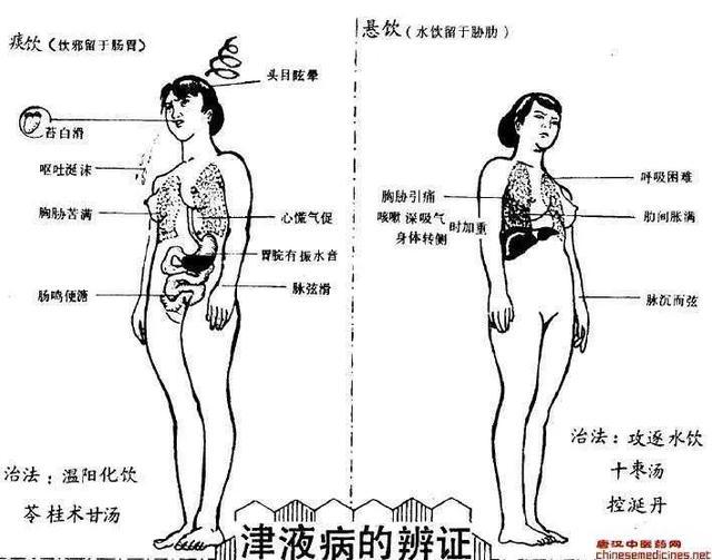 气血津液辩证