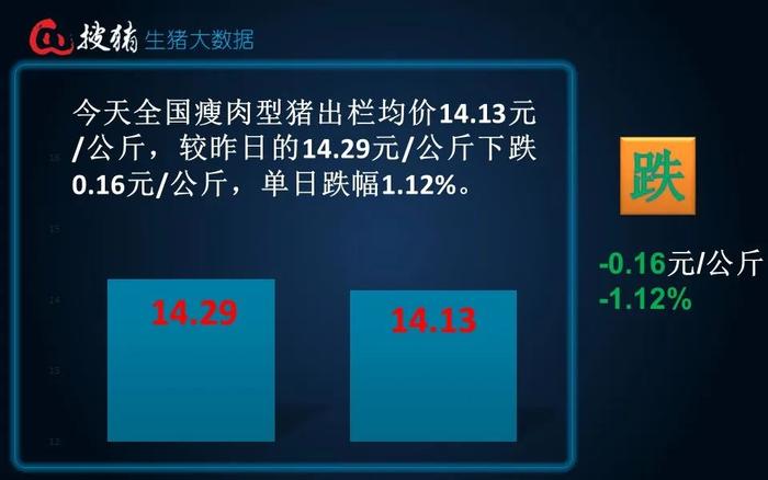 生猪现货日报|全国均价14.13元/公斤 下跌至7月末以来新低