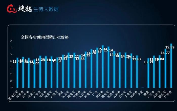 生猪现货日报|全国均价14.13元/公斤 下跌至7月末以来新低