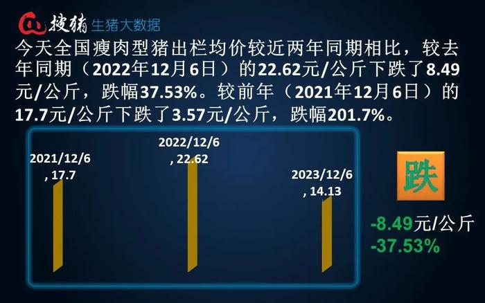 生猪现货日报|全国均价14.13元/公斤 下跌至7月末以来新低