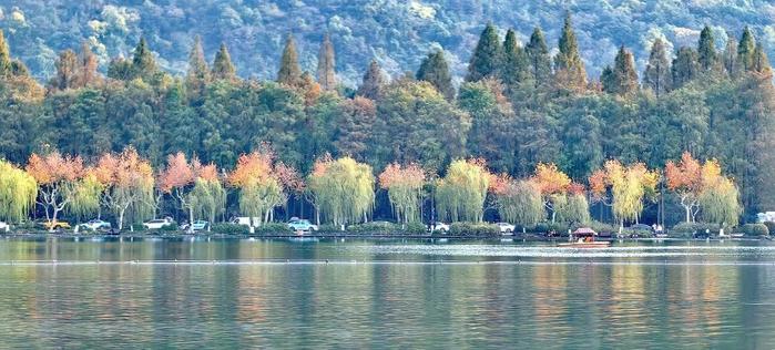 24.2℃！打破50年来历史纪录！杭州天气近期还有两波过山车…