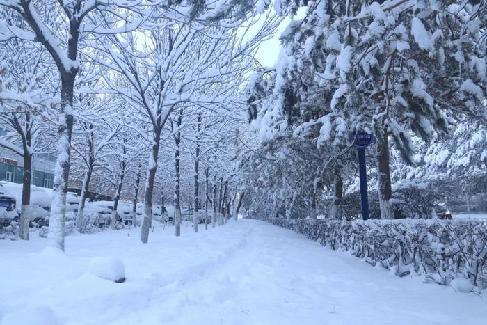 中到大雪！局部暴雪！山东将有大范围雨雪天气，局部降温超16℃！青岛…跟吗？跟，跟一半