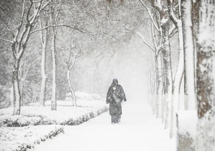 中到大雪！局部暴雪！山东将有大范围雨雪天气，局部降温超16℃！青岛…跟吗？跟，跟一半