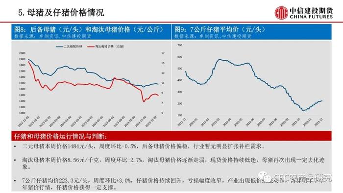 【禽畜周报】生猪预期引导走强 鸡蛋有望企稳修复