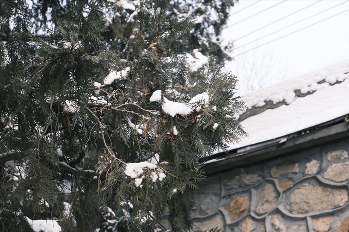 北京今冬初雪，有了颐和园才够美！