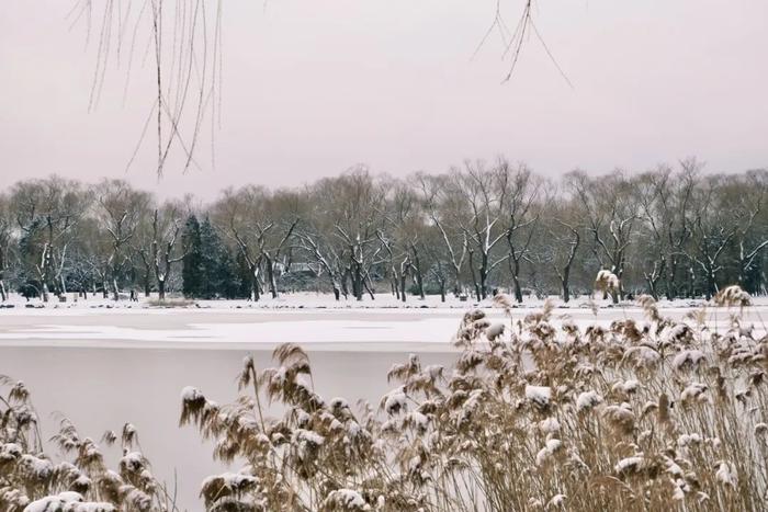 北京今冬初雪，有了颐和园才够美！