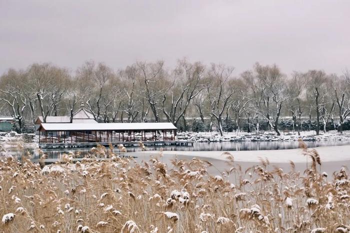 北京今冬初雪，有了颐和园才够美！