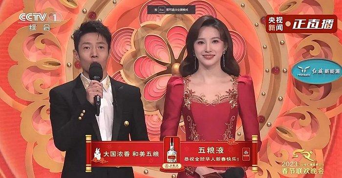 图片来源:央视频截图