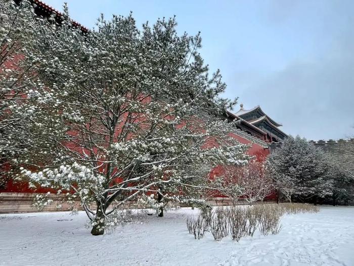 不合群！多地都在降雪降温，广州还要短袖+空调