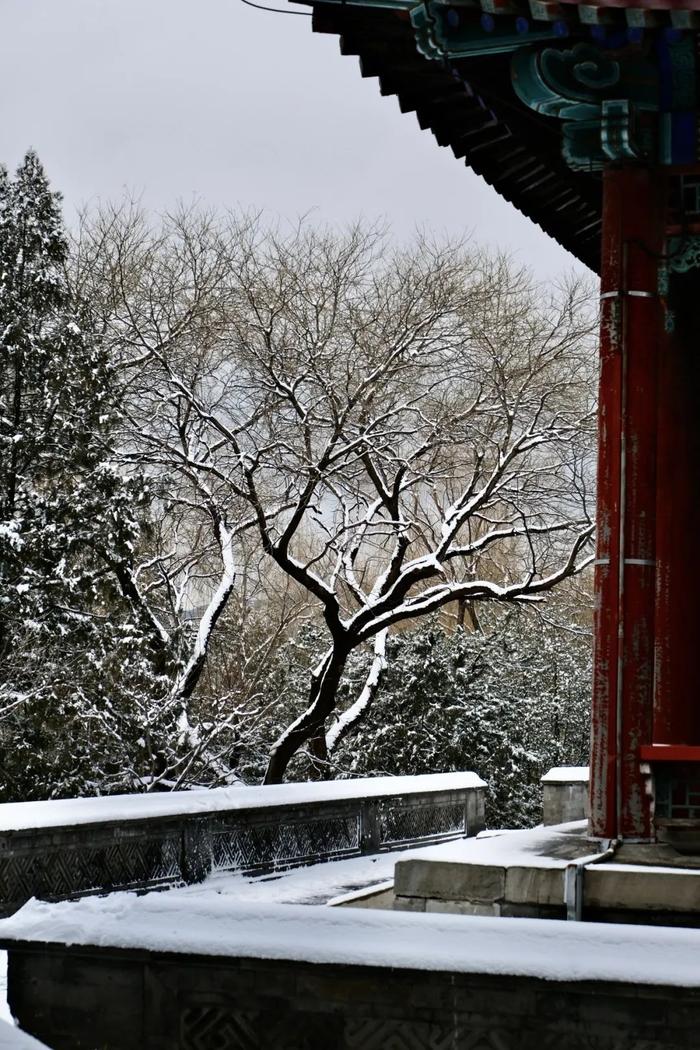 北京今冬初雪，有了颐和园才够美！