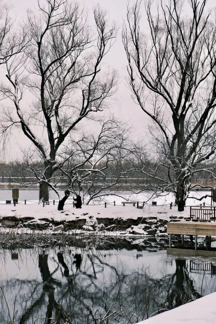 北京今冬初雪，有了颐和园才够美！