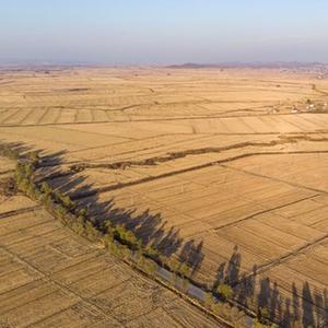 粮食产量连续14年位居全国第一，为什么是黑龙江？