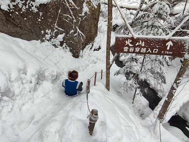 新雪季 新玩法 新体验——从“东方甄选”吉林行暨长白山冰雪旅游主题采访活动感受我省冰雪旅游新变化