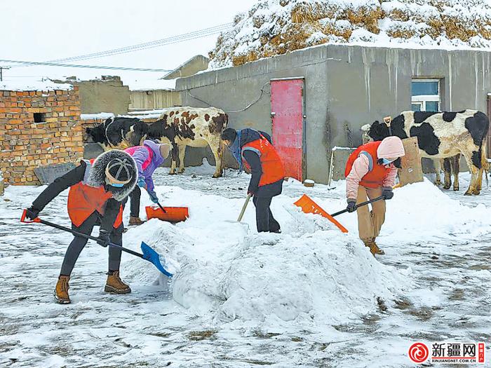 直击寒潮天气里的市民生活——乌鲁木齐市“以雪为令” ，全力以赴保民生保畅通观察