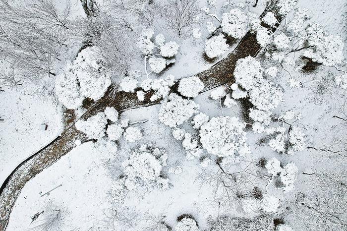 【图集】全国多地大雪，最低气温或跌破历史同期极值