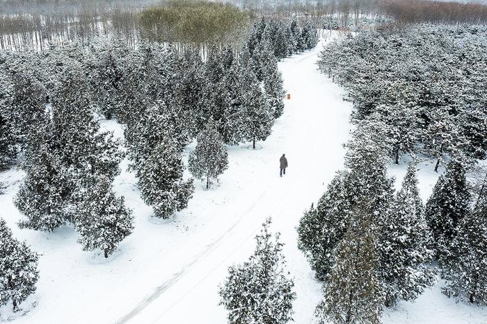 【图集】全国多地大雪，最低气温或跌破历史同期极值