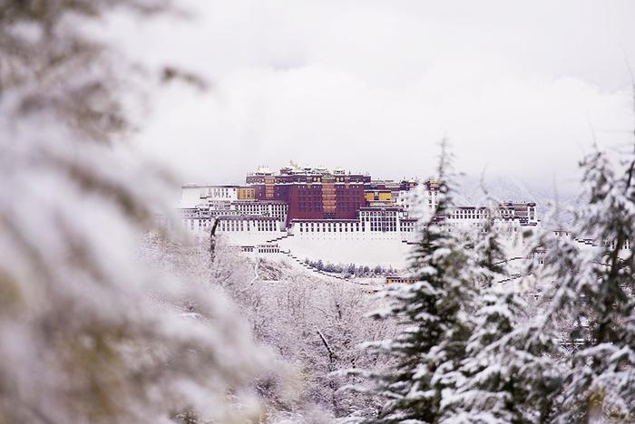 【图集】全国多地大雪，最低气温或跌破历史同期极值