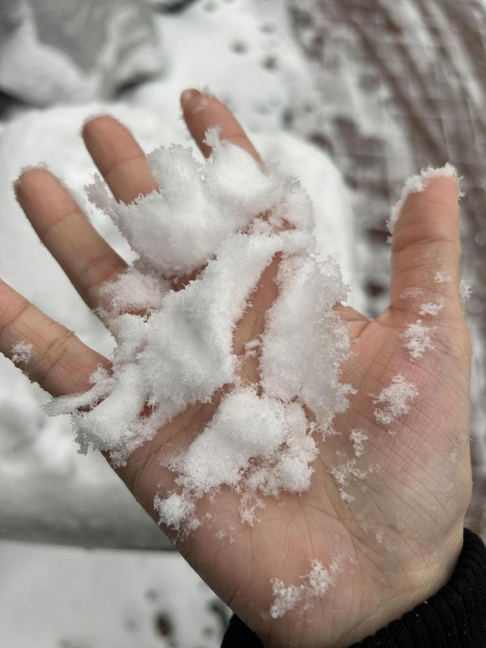 北京大部分地区有5-10厘米积雪，这场雪容易“堆雪人”吗？