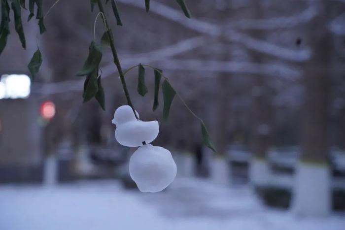 堆！堆！堆雪人！北科大雪人大赏！