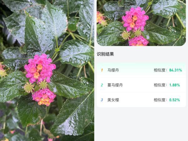 浙江上线生物多样性小程序：可拍照识别动植物、查看物种分布