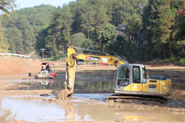 重庆巴南区：打造乡村振兴“希望田”，1.7万亩高标准农田全面开建！