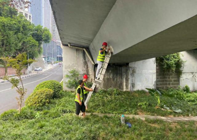 重庆南岸区：用智慧系统实现城市安全监管