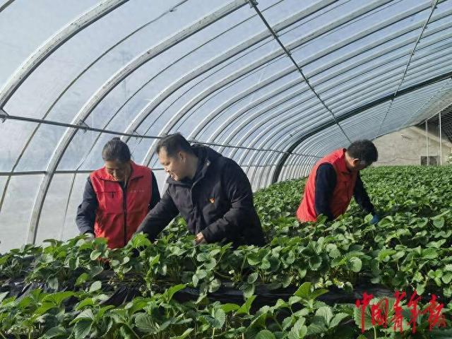 北京：年轻人才引进村，乡村振兴注“活水”