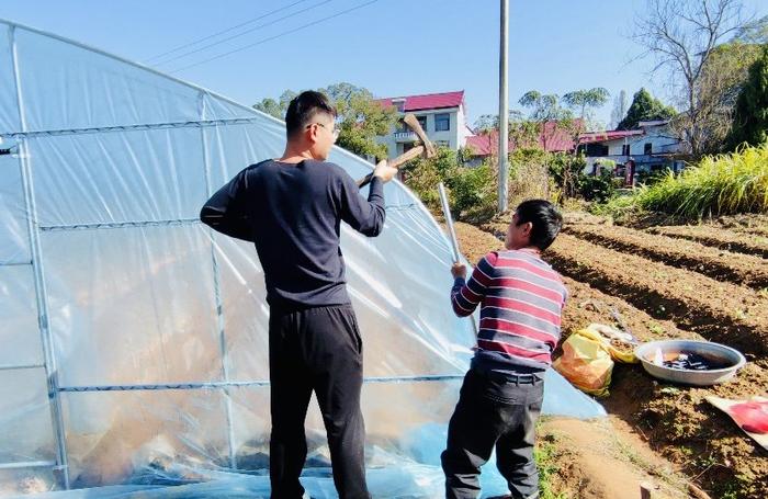 江西省农科院：帮农户建大棚 给作物当医生