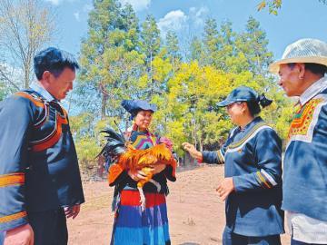 美姑县：强内功 增本领 着力提升纪检干部队伍素质