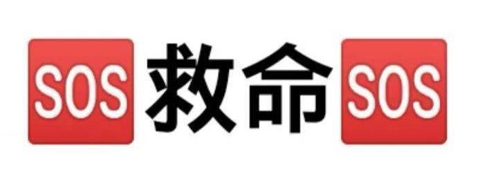 为什么小红书上那么多人在“GAY一年”？