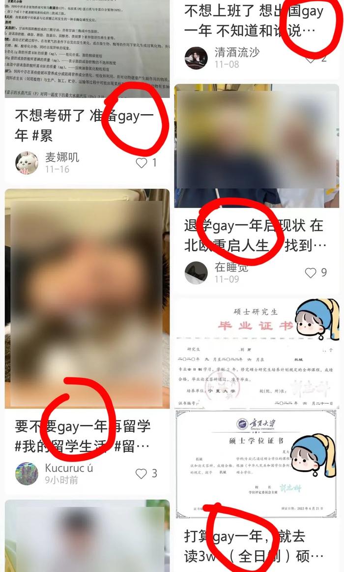 为什么小红书上那么多人在“GAY一年”？