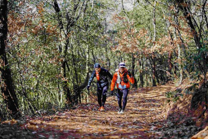 首个！江苏这条国家登山步道健身赏景两相宜