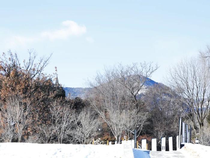 趁现在！赏西山晴雪