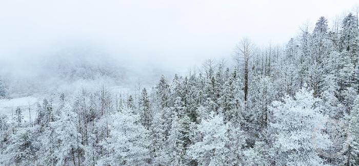 酉阳迎来今冬第一场降雪